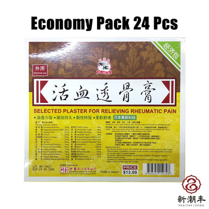 Fei Yien Pai Selected Plaster for Relieving Rheumatic Pain Economy Pack (24 Pcs)