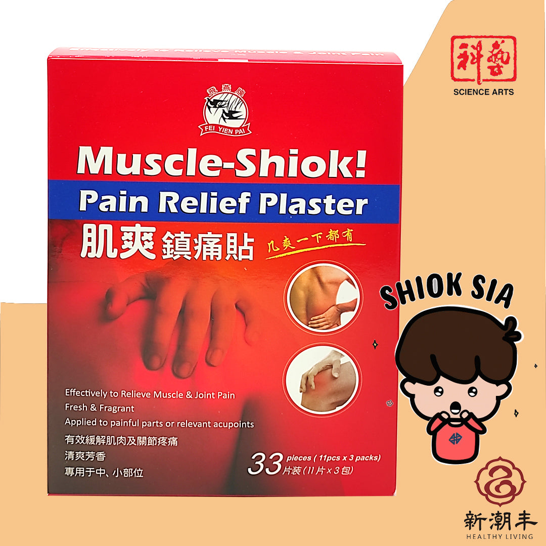 Fei Yien Pai Muscle-Shiok Pain Relief Plaster 33Pcs/BOX