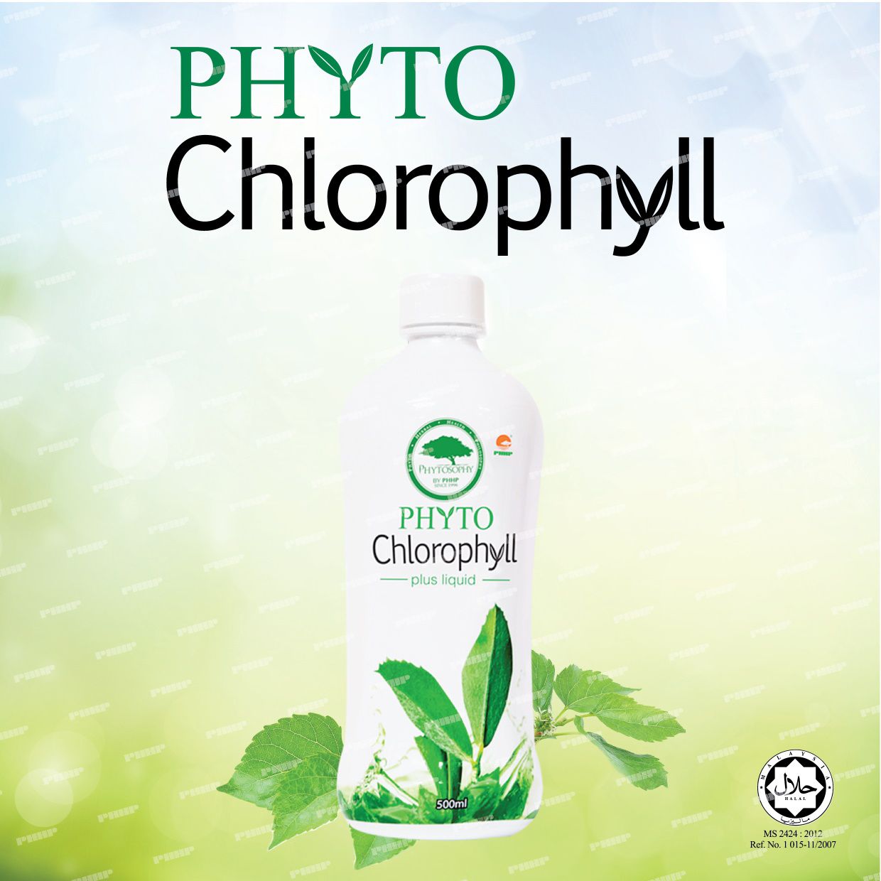 Phyto Chlorophyll Plus Liquid 长春叶绿素 (500ml)