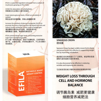 EFILA Metabolic Boost Weight Control 30 Jelly Sachets